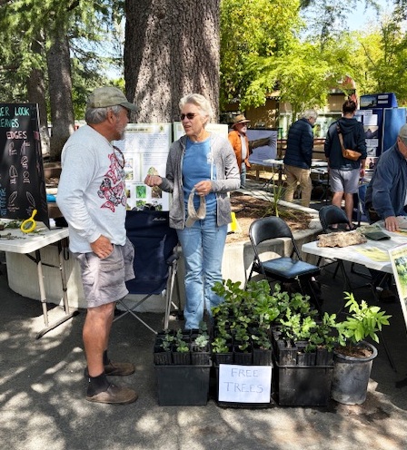 Free trees!  Joe and Deb talking trees